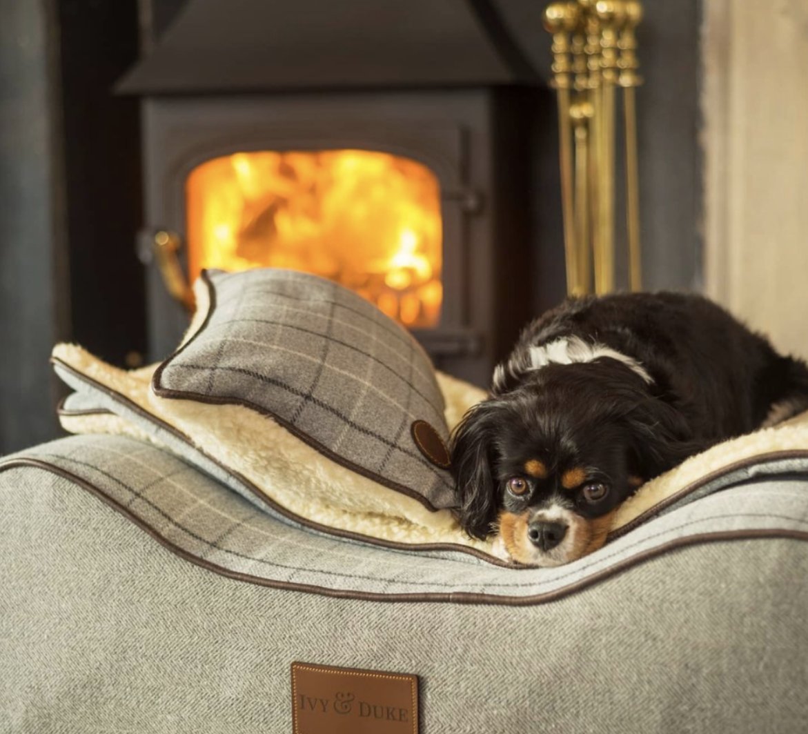 GoodHotelGuide tweet media