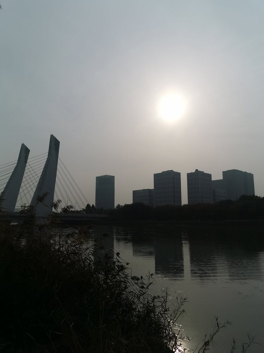 penis2019's tweet photo. 龙子湖秋意浓！ https://t.co/MbVWEBsOnW
