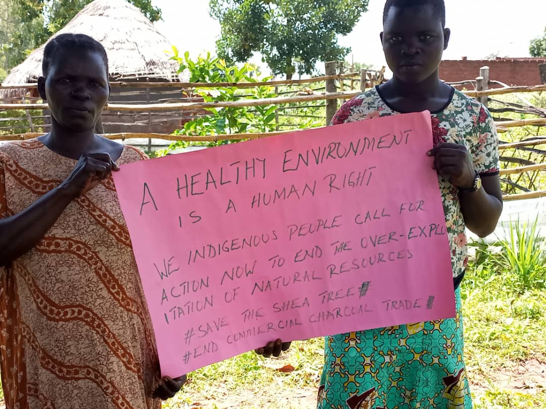 A healthy environment is a human right. We indigenous people call for action now to end over exploitation of our resources. #SavetheSheaTree @COP26 @AlexandriaV2005 @vanessa_vash @mulindwa_guy @GretaThunberg @emma_ymp