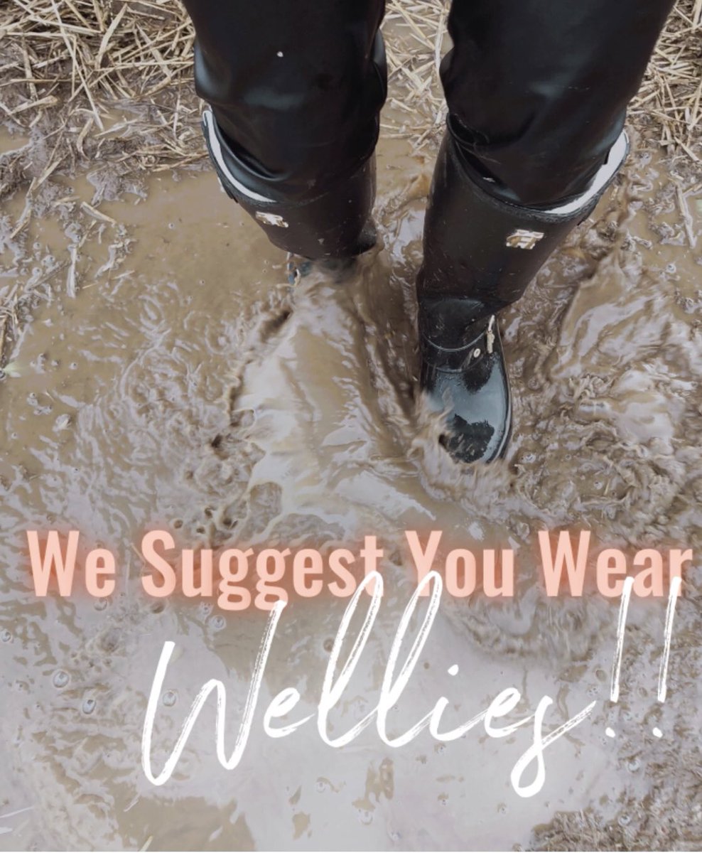 Even though the sun is currently shining, we suggest you wear wellies or boots if you visit us today as it rained a lot overnight! #muddy #farmlife #mudisfun #outside #october