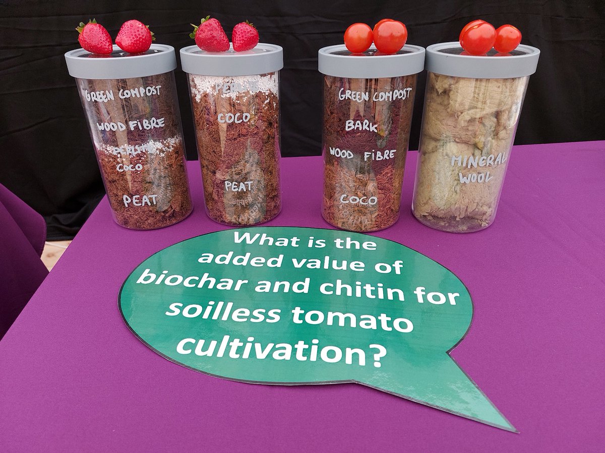 HortiBlueC's tweet photo. @TNO_Research presents #LCA for peat or mineral wool replacement by wood fiber or #biochar in soilless cultivation of🍓and🍅in free webinar:

https://t.co/gYjZ9AZ8Cc

@ILVOvlaanderen @ADAS_Hortic @NIABEMR @Interreg2Seas #BiocharToday #Fitfor55 #CarbonCapture #CarbonSequestration https://t.co/7aU6Th9GT7
