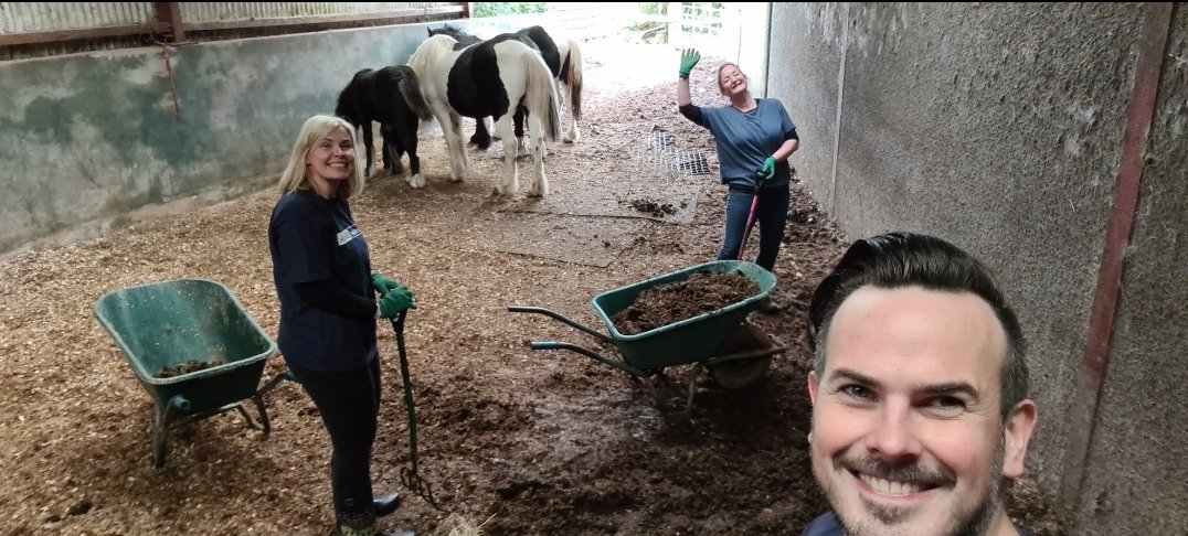 KevinHeavern's tweet photo. Throw back to 2 weeks ago when the Comms &amp; Marketing team mucked in (literally) for the day @CrosskennanLane. Definitely feel we made a difference and got a good workout too - bonus! They always need help &amp; donations  folks, so consider them for your next volunteering day! 🐈🐕🐎 https://t.co/IIj7M02aI7