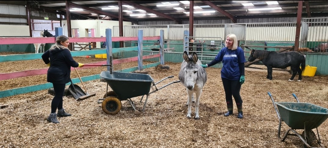KevinHeavern's tweet photo. Throw back to 2 weeks ago when the Comms &amp; Marketing team mucked in (literally) for the day @CrosskennanLane. Definitely feel we made a difference and got a good workout too - bonus! They always need help &amp; donations  folks, so consider them for your next volunteering day! 🐈🐕🐎 https://t.co/IIj7M02aI7
