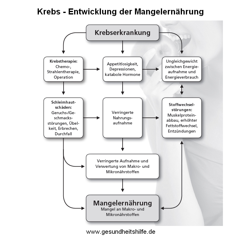 #Brustkrebsmonat - Patientinnen mit #Brustkrebs leiden häufig unter Mangelernährung. Unser Bild zeigt Ursachen und Zusammenhänge. Mehr zum Thema #Krebs, Ernährung und Mikronährstoffe bei uns: gesundheitshilfe.de/aktionen/mikro…