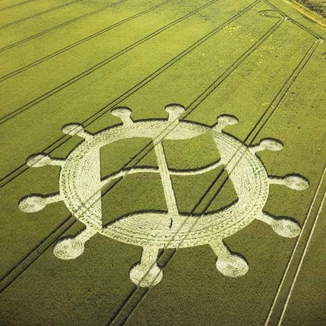 Jacqui Taylor tweet media