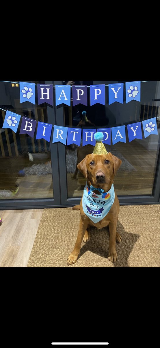 Cayley🌙 tweet media