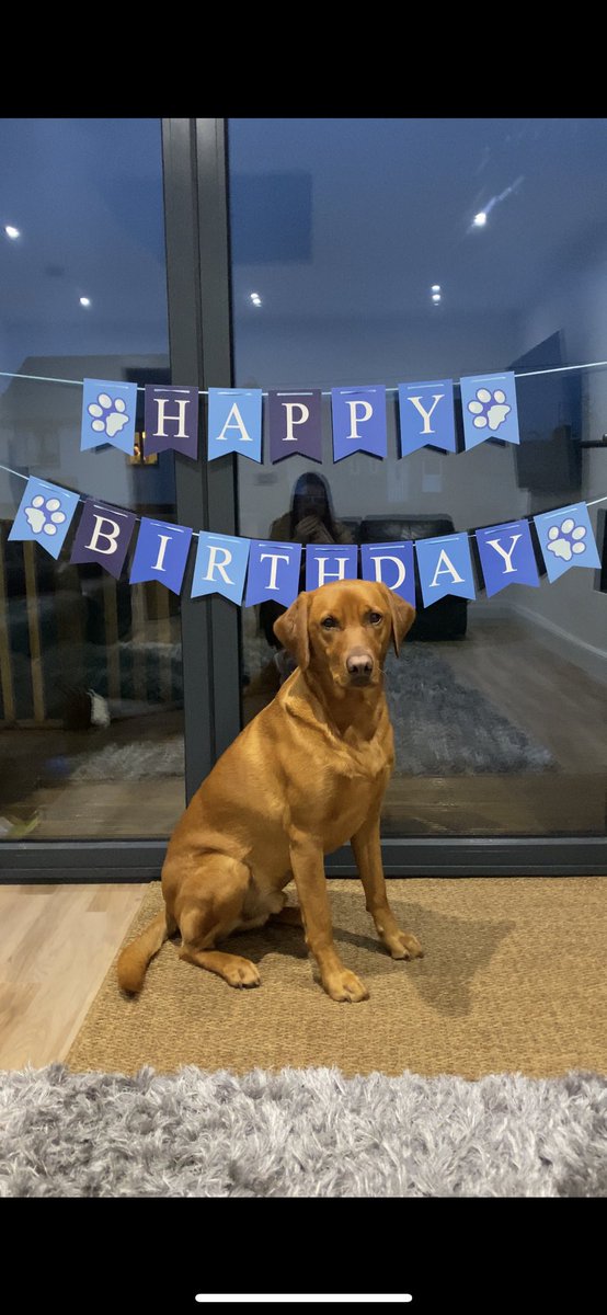 Cayley🌙 tweet media