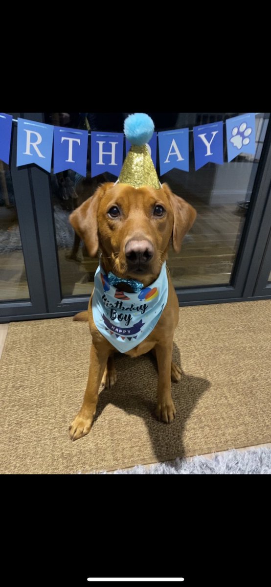 Cayley🌙 tweet media