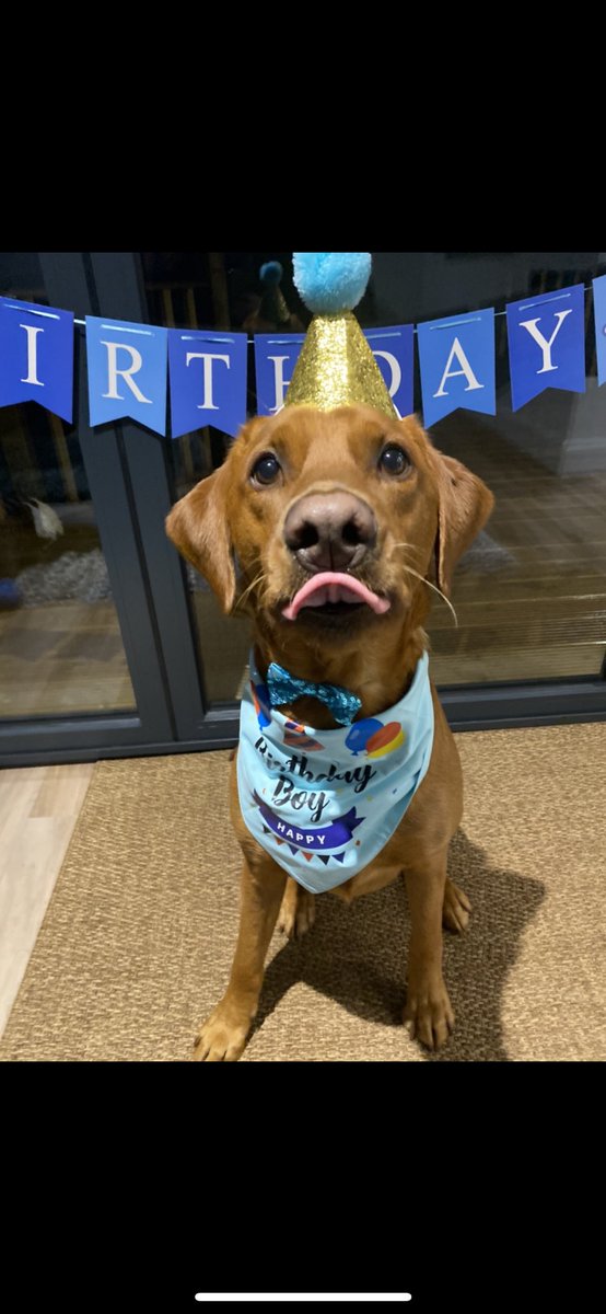 Cayley🌙 tweet media