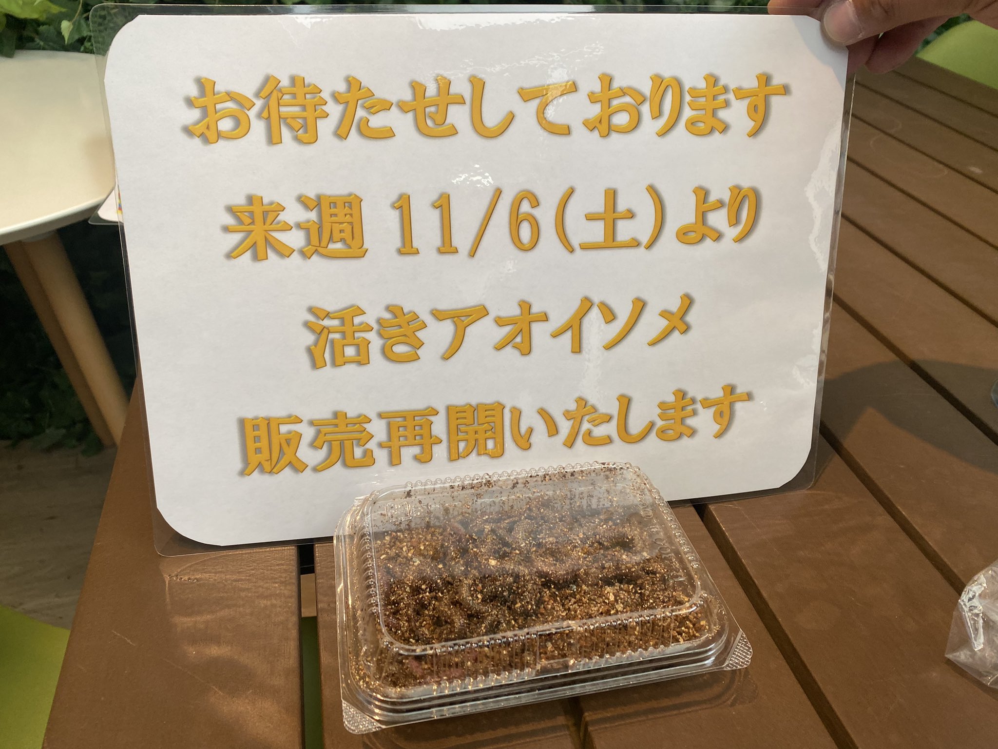 釣り具販売 レンタル Lureman おはようございます 本日は昼から雨のため 営業はお休みさせていただきます 11 3祝日は営業予定ですので 宜しくお願い致します 豊洲公園 釣具販売 釣具レンタル Twitter