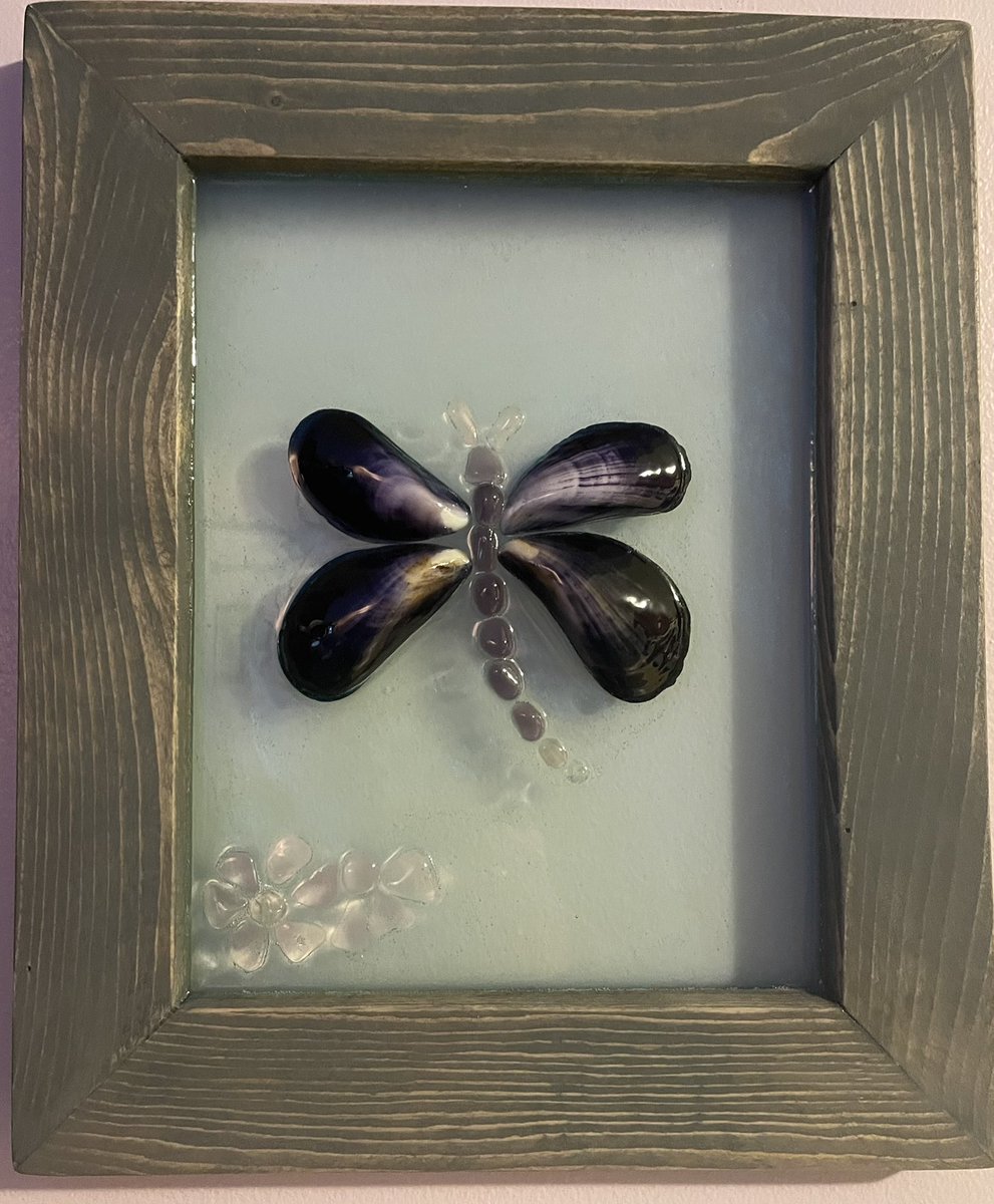 SeaTucker's tweet photo. Photo of the day, sea glass/mussel dragon fly showcased in handcrafted 8 x 10 wooden stained frame, price is $80. Pop me a message to order yours! https://t.co/55fP7i8pFU