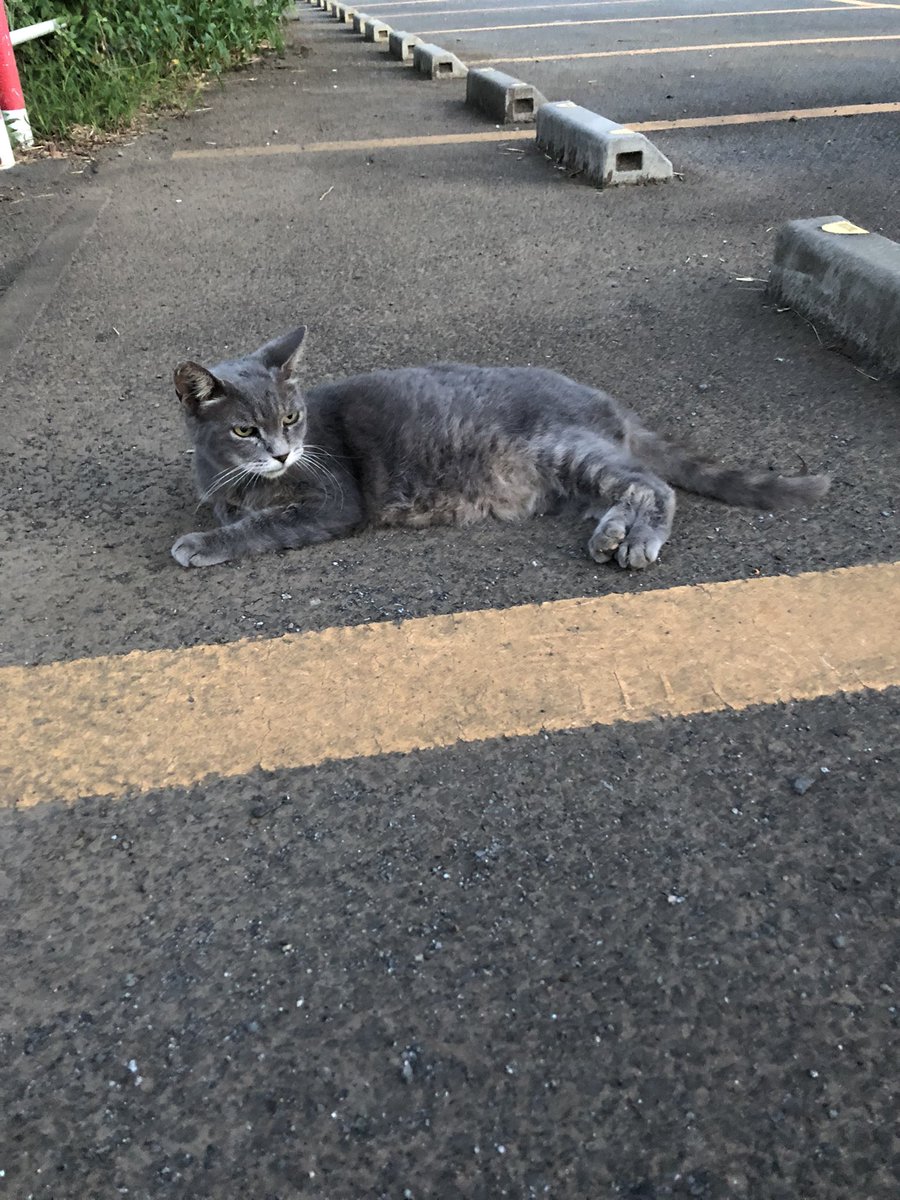 makinof72's tweet photo. 夏のある日 https://t.co/0YyCvzsEux