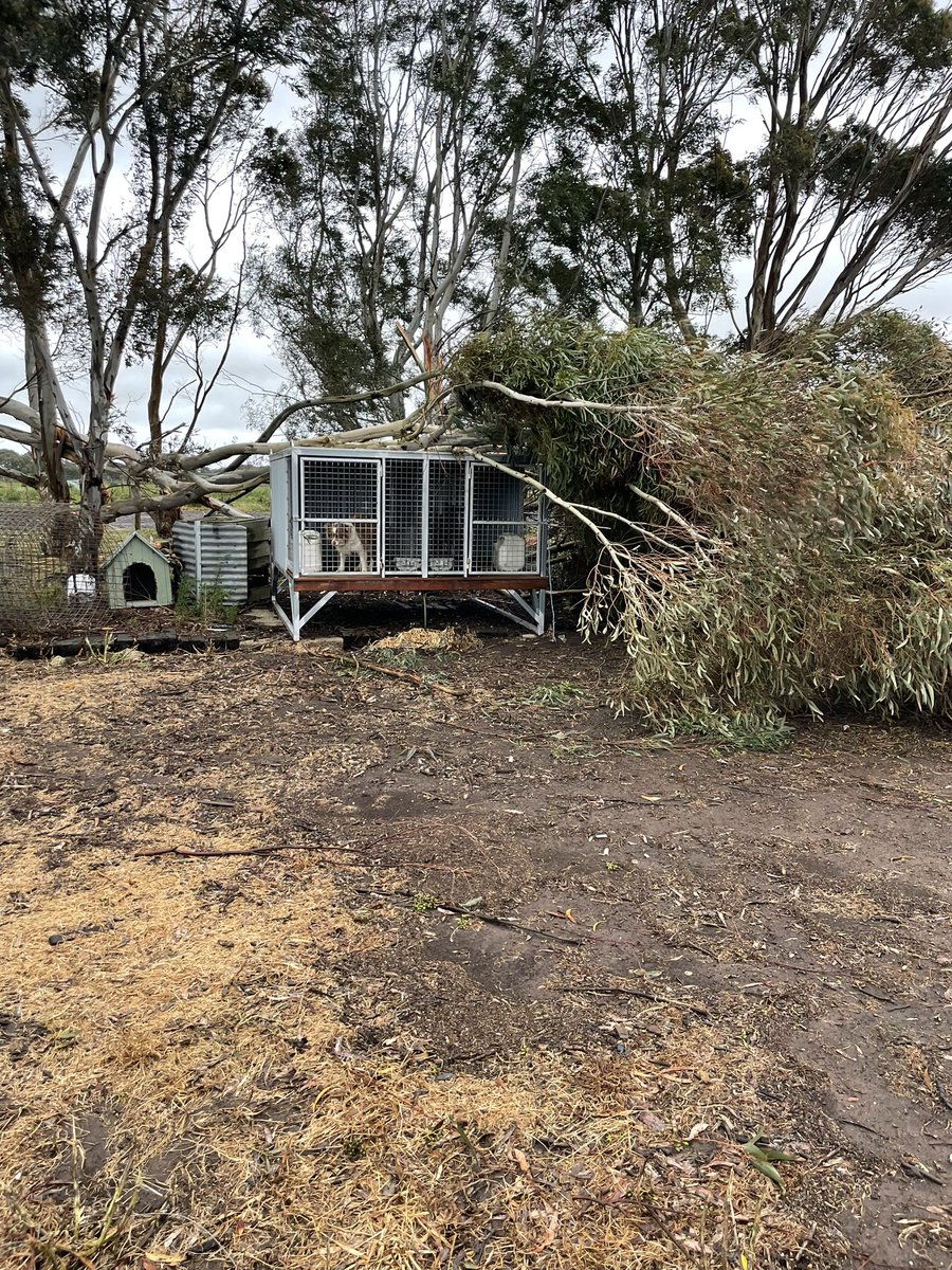 Troy Keating tweet media