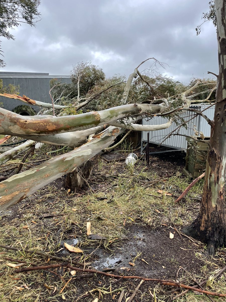 Troy Keating tweet media