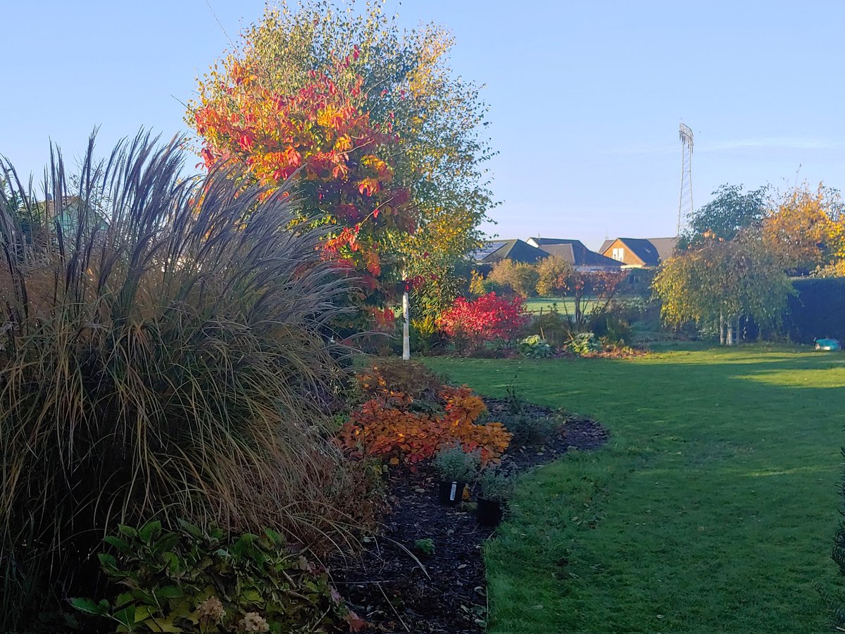 Pretty colors but soooo cooold #Autumnvibes