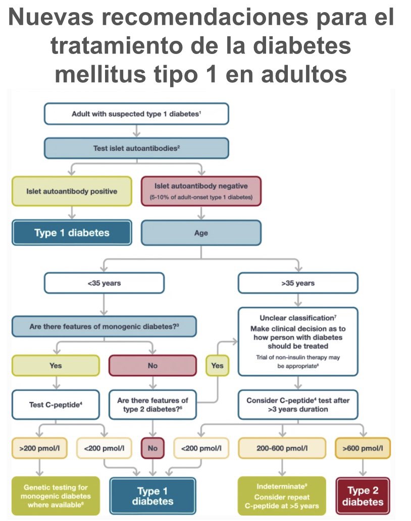 Esquema para el diagnostico de #diabetes tipo 1 ADA-EASD, si fuera por mi pondría la determinación de péptido c mas arriba @ciberdem <a href="/SAEDYN_/">SAEDYN</a> <a href="/SEDiabetes/">SED Diabetes</a> <a href="/SociedadSeedo/">SEEDO</a> <a href="/sociedadSEEN/">Sociedad SEEN</a> @SAEM_tw link.springer.com/article/10.100…