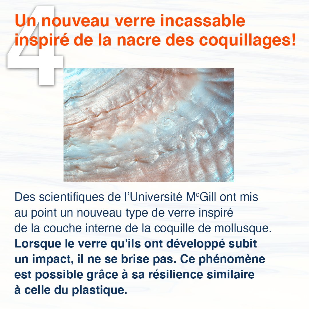 TaraOcean_'s tweet photo. #TARActu 
Retour sur les actualités positives autour de l’Océan et du climat du mois d’octobre 🌊

#FondationTaraOcéan #ExplorerEtPartager #Tara #actus #océan #climat #actuspositives https://t.co/FS590oNYHq