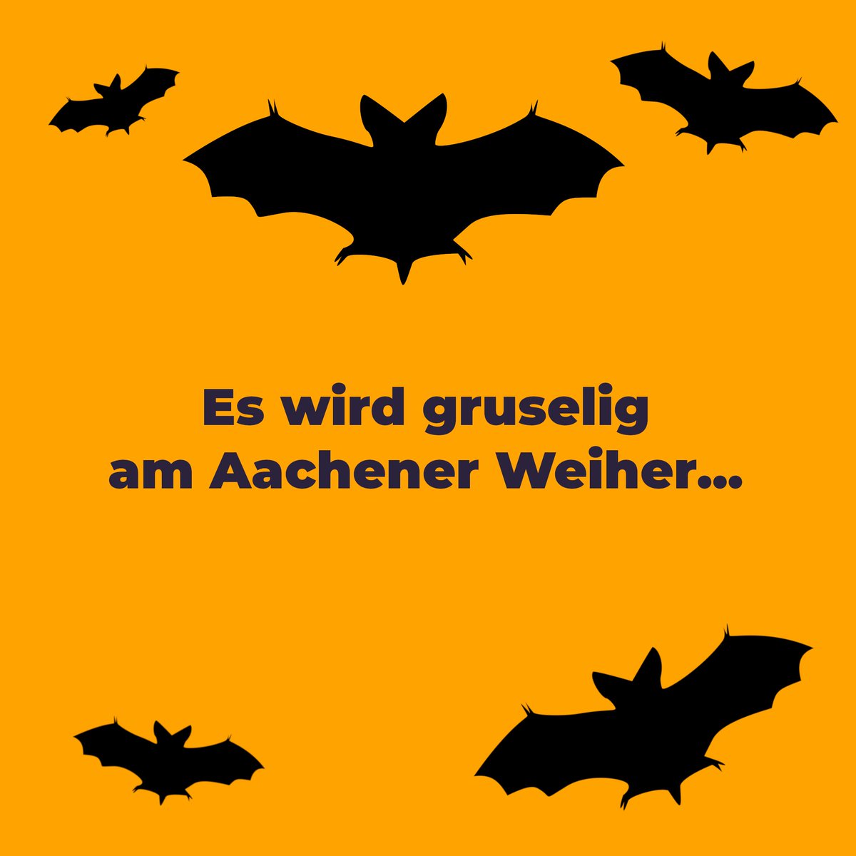 Morgen ist Samstag, also ich morgen #parkrun-Tag!  Am Aachener Weiher feiern wir einen ganz besonderen Tag... Komm vorbei, wenn Du Dich traust! 🎃👻 #AWparkrun #Halloween