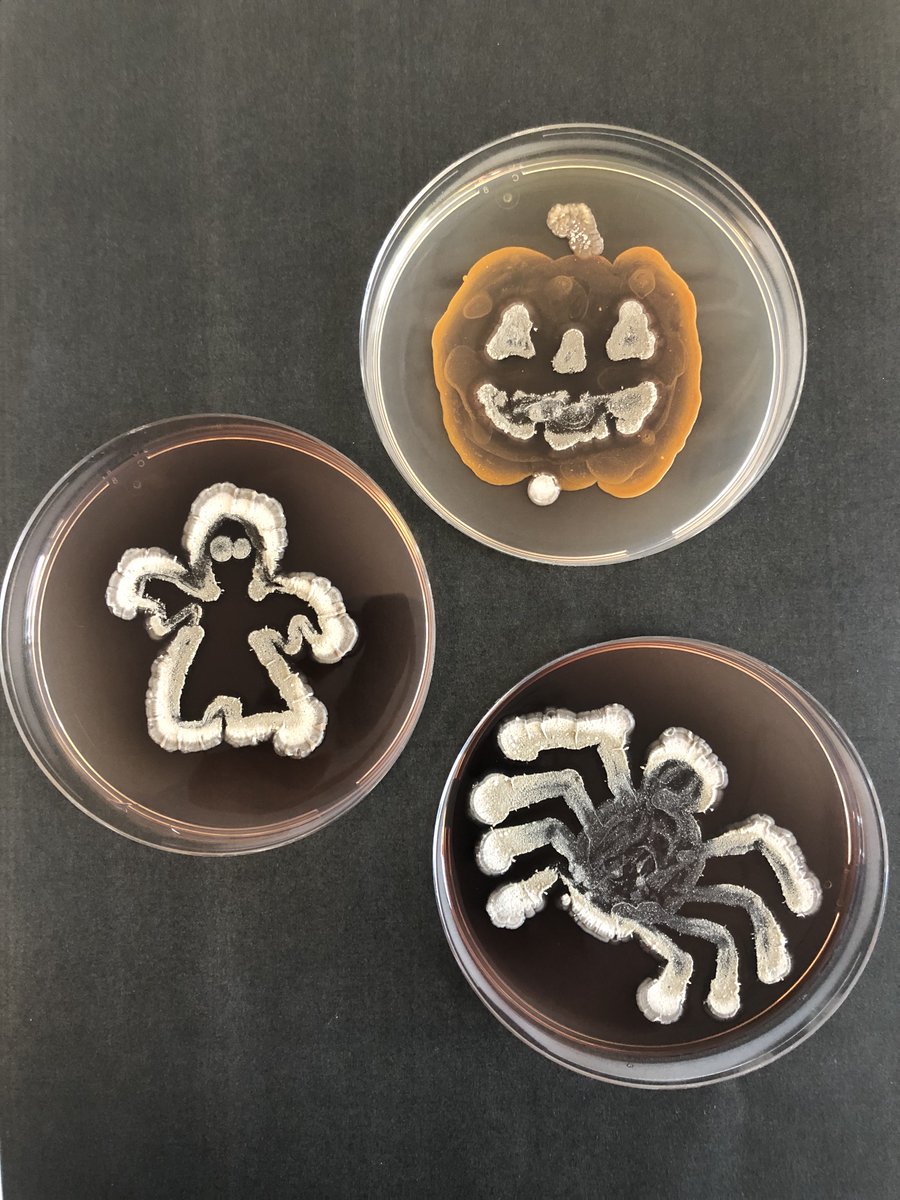 DTUBiosustain's tweet photo. Happy Halloween! https://t.co/hxA5sLug3Q