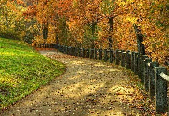 CharoHe68243544's tweet photo. Buen día 🇪🇦🇪🇦 https://t.co/Zv5w0DIMOT