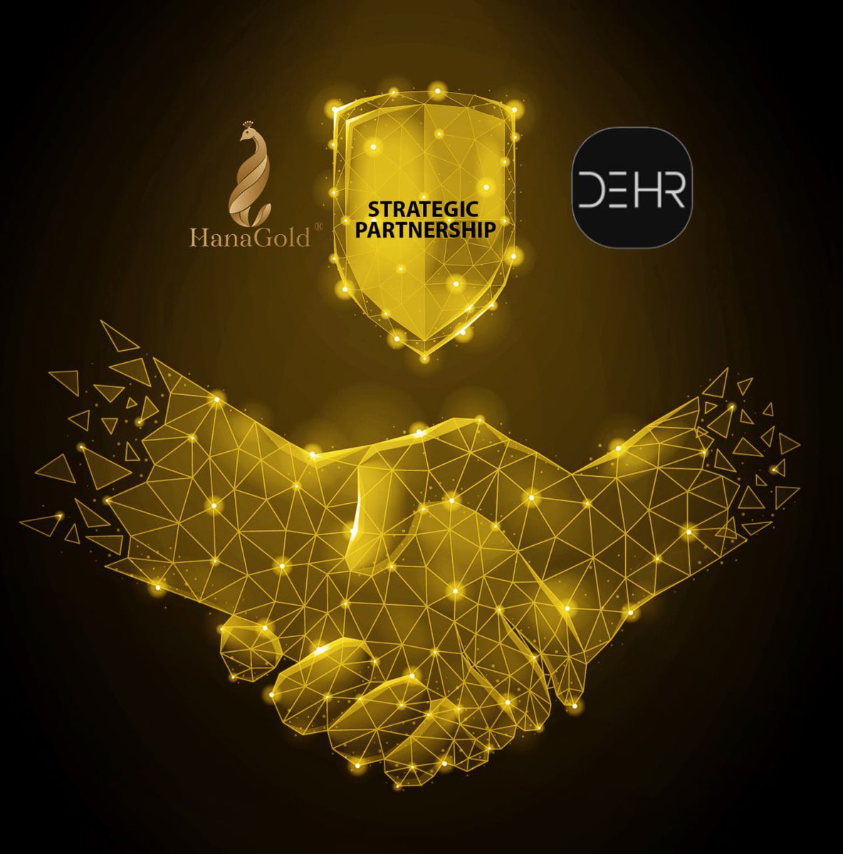 💥💥 Let's welcome new partners💥💥

🎉We are pleased to announce that HanaGold officially welcomes a new strategic partner - DeHR to accompany us on the path to success.
#HanaGold #DeHR #Onus #kardiachain #NFT #Metaverse