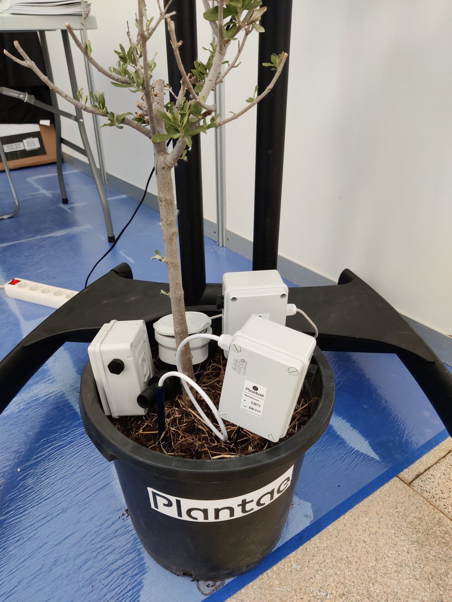 expofare's tweet photo. 💧 Expositores #EXPOFARE21 🌱 @PlantaeGarden es una #tecnología inalámbrica enfocada a la agricultura profesional para optimizar el #riego aumentando la productividad a través de sensores de humedad en tierra y otros parámetros 📲📊 

🔹 https://t.co/BW247tjBRu https://t.co/A86VYATREg