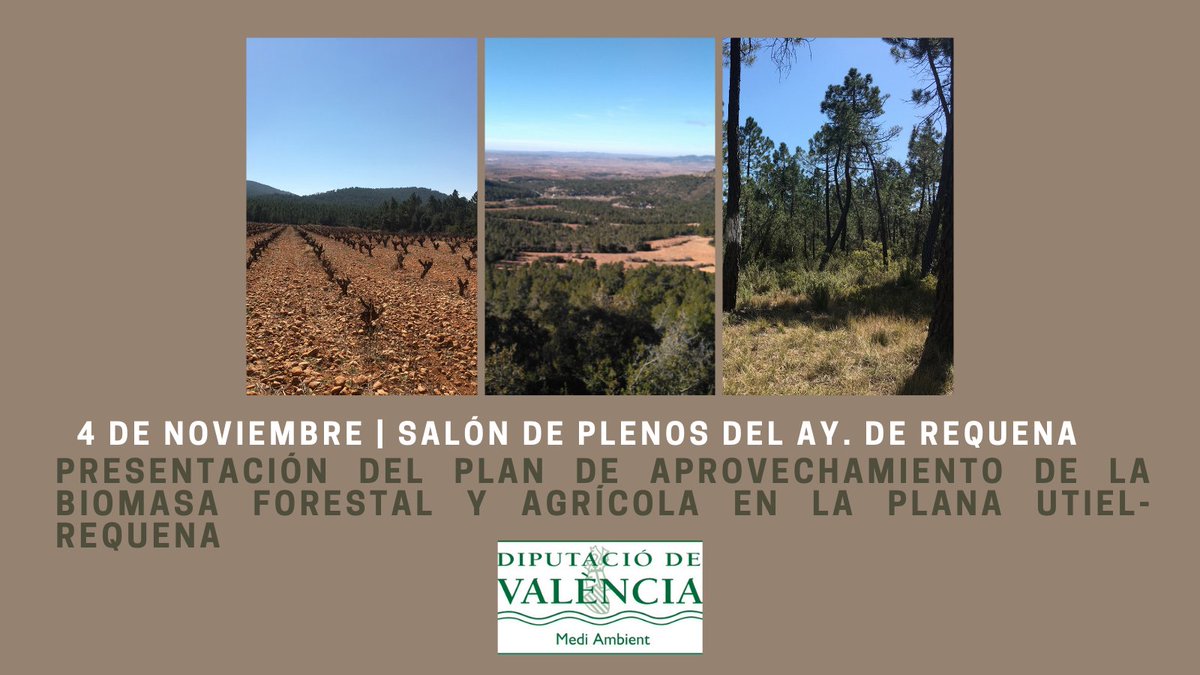 reaccionaxclima's tweet photo. 🍇🍃La semana que viene estaremos en la Plana de Utiel-Requena presentando junto a @Medi_XXI_GSA el Plan comarcal de aprovechamiento de la #biomasa forestal y agrícola. 

🗓 4/11.
⏰ 11:30h. https://t.co/lGcx07L0qG