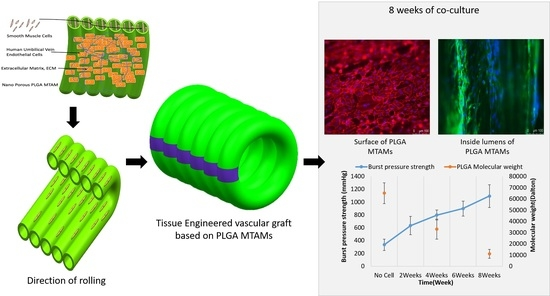 Membranes_MDPI's tweet photo. #Membranes
Tissue-Engineered Vascular Graft with Co-Culture of Smooth Muscle Cells and Human Endothelial Vein Cells on an Electrospun Poly(lactic-co-glycolic acid) Microtube Array Membrane
https://t.co/OOGN0cLo4v
#PLGA
#MTAM
#TEVG https://t.co/GVC8zL32LO