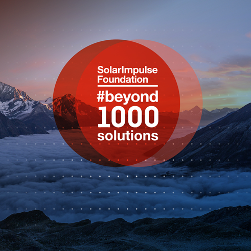 BeeBryte tweet media