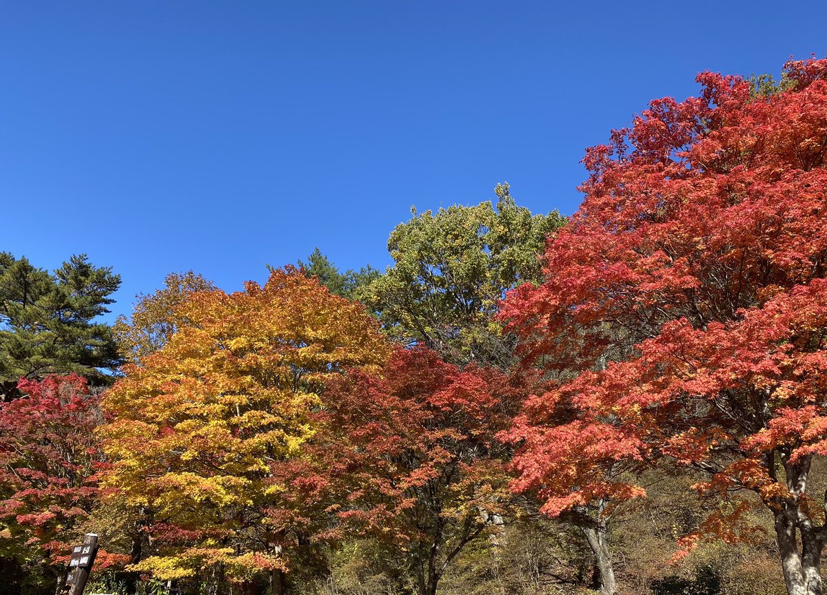 栃木県塩原の紅葉🍁です。なかなか見に行けない方はよかったらこの写真でお楽しみください😊
#2021紅葉　#秋色　＃みんなで分かち合いたい