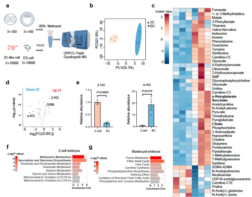 Zeping Hu Lab tweet media