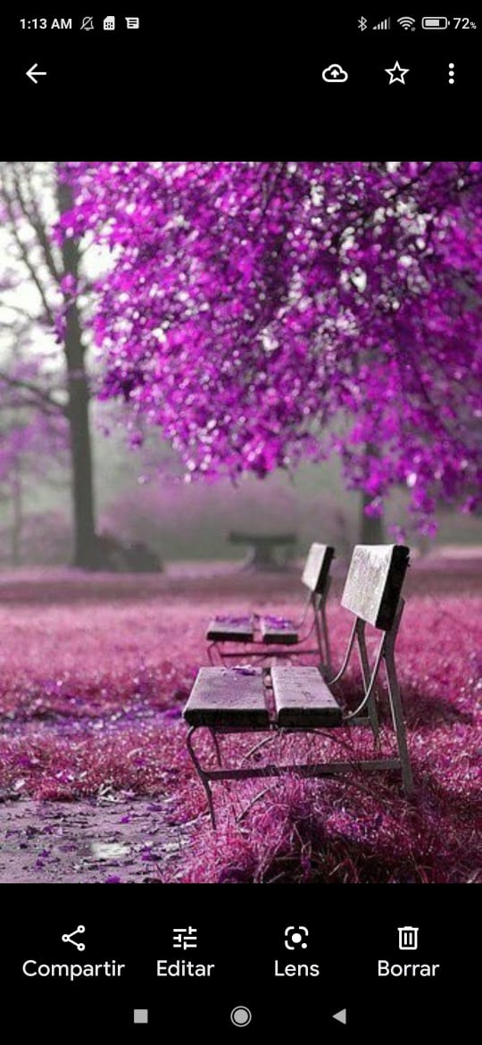 ruben_corella's tweet photo. Siempre morado!! 💪✊💜 #felizfinde #SiSePuede #beautiful #Belleza #purplecolor #paisajes #bondia #retoTrend #podermorado https://t.co/eG7GWblbm4