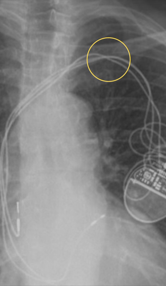 Gareth Wynn tweet media