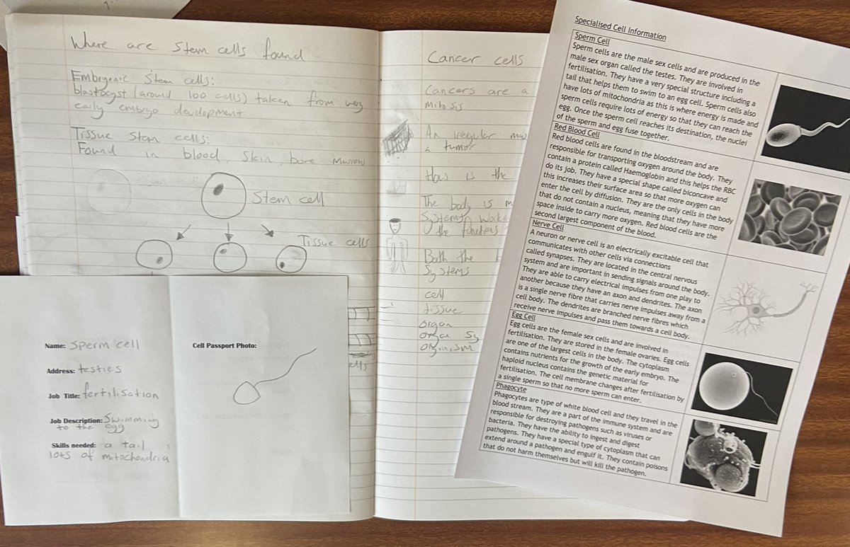 MissCLynch1's tweet photo. Senior nat 5 biologist completed cell passports today for different specialised cells! They used their literacy skills to obtain the cells function, location and special skills! #BioIsBest @BoclairBiology @BoclairAcademy https://t.co/8kItzhv0jN
