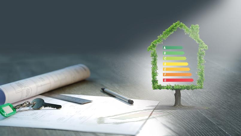 Rénovéa Groupe tweet media