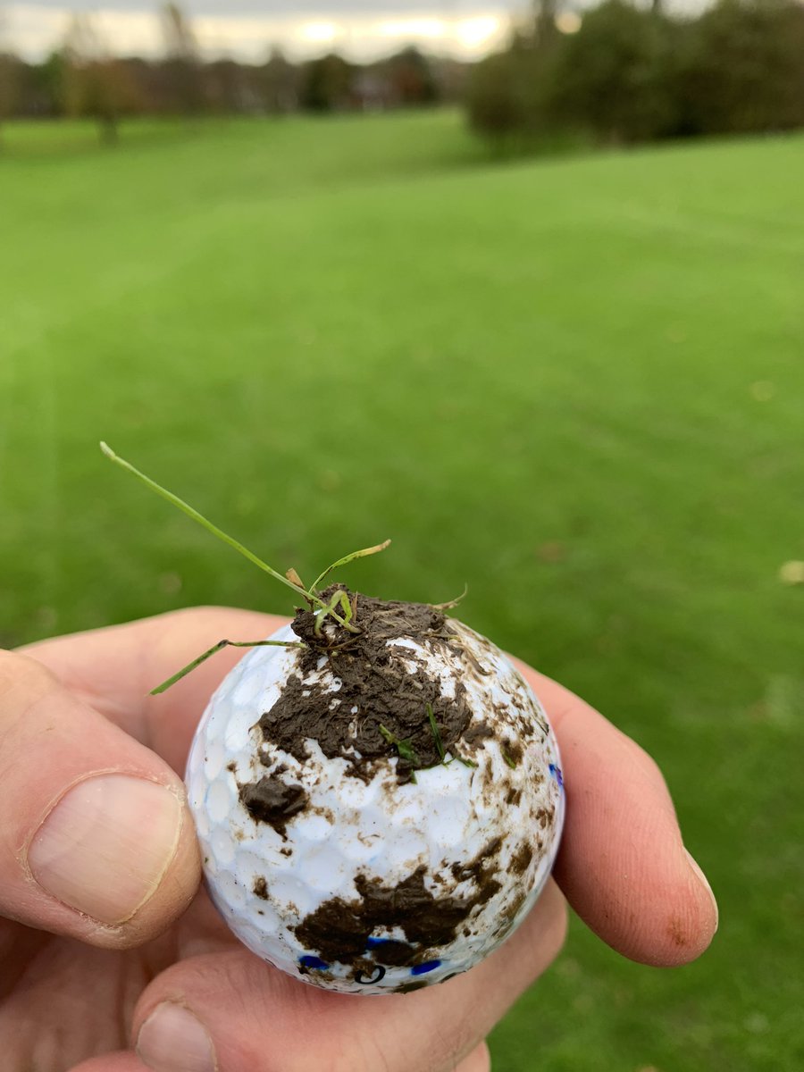 Lift, clean and place #MuddyFairway #WinterGolf #PluggedBalls