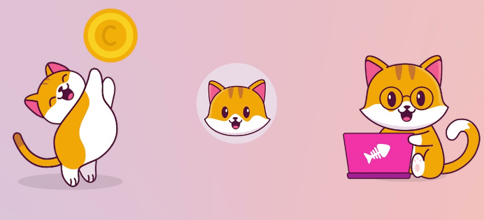 catecoin's tweet image. We are giving $100 worth of tokens to 10 random people each who will follow us and Quote retweet this post with the below message:

#catecoin  is the next #shiba coin