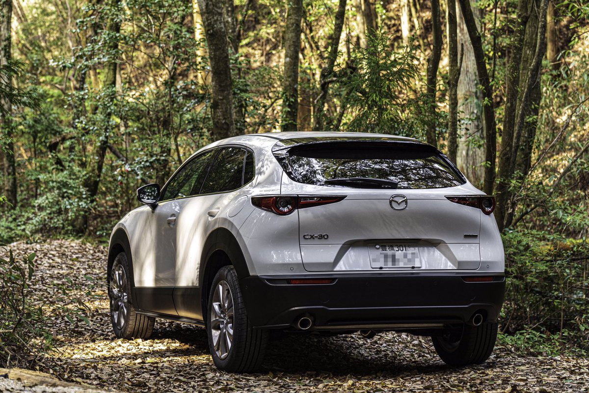 currypa1n's tweet image. 前に撮影した写真
最新のPhotoshopのニューラルフィルターにより冬と化した
#AdobeMAX #Photoshop2022 #neuralfilters #ニューラルフィルター