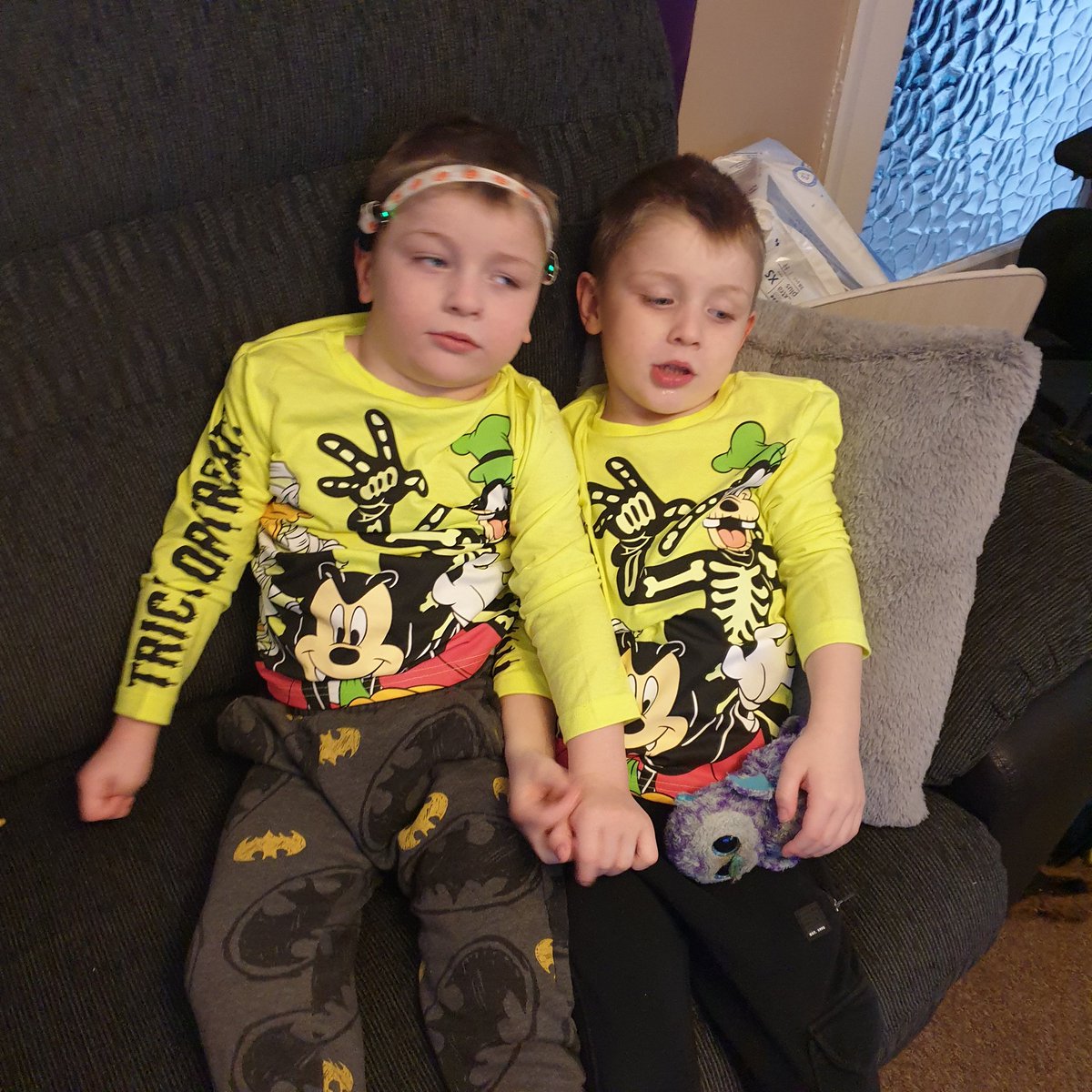 isright's tweet photo. #HalloweenDay I've got to go back to the North West for a while later today, so the morning is being spent watching #MonsterFamily1and2
Rory on the settee & Alfie in his box.
Going to miss my #LittlePartnersInCrime https://t.co/pkaslg3IIl