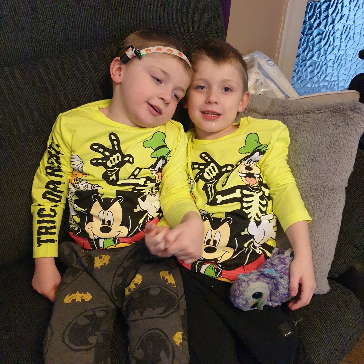 isright's tweet photo. #HalloweenDay I've got to go back to the North West for a while later today, so the morning is being spent watching #MonsterFamily1and2
Rory on the settee & Alfie in his box.
Going to miss my #LittlePartnersInCrime https://t.co/pkaslg3IIl