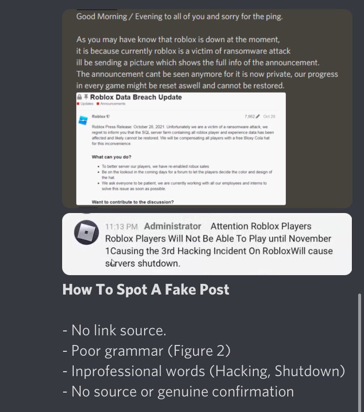 Fake roblox is nothing