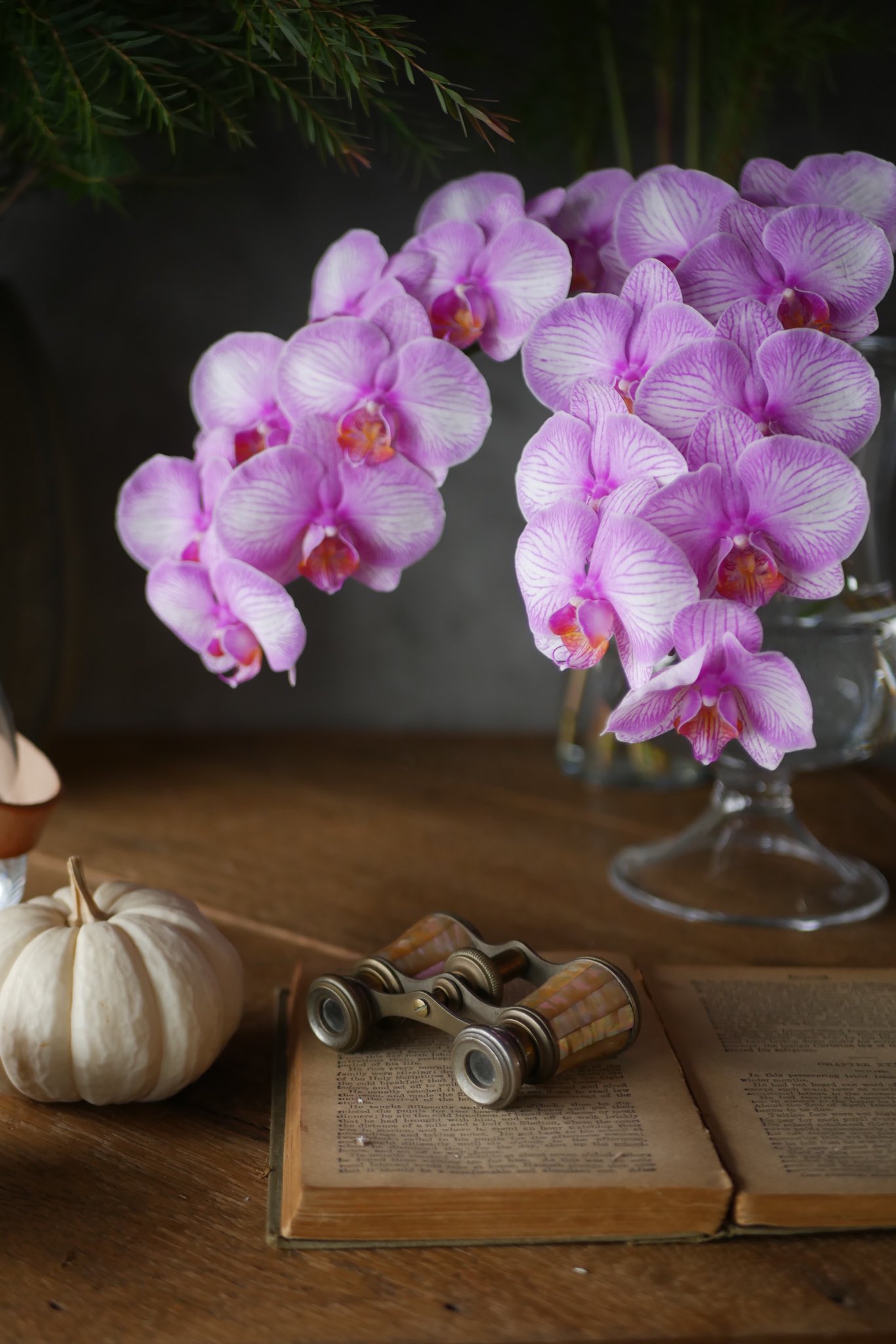 Germer Florist Germerflorist Twitter