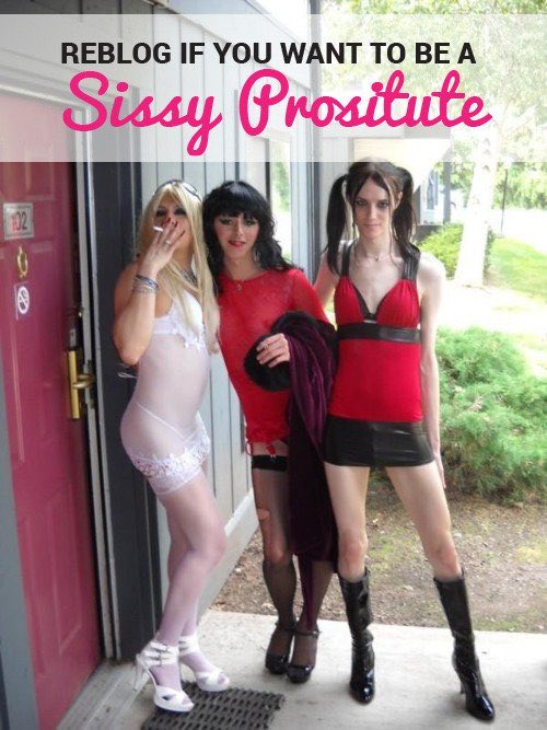 perfectsissys's tweet photo. Retweet sissy ♻️ 💦 🎀 🌸 🍑 👯‍♀️ https://t.co/rN56Exqmy8