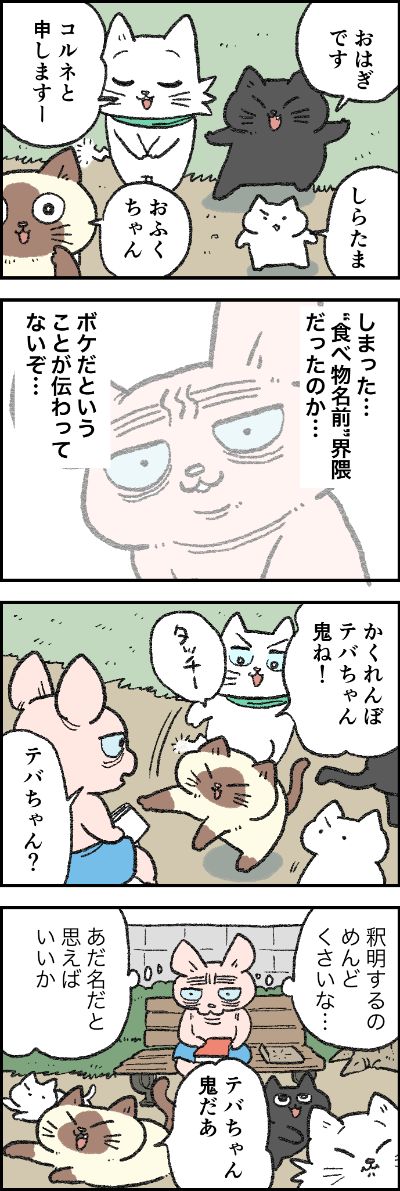 ツッコミ待ち│フェリシモ猫部 https://t.co/gFajaY1qVN 