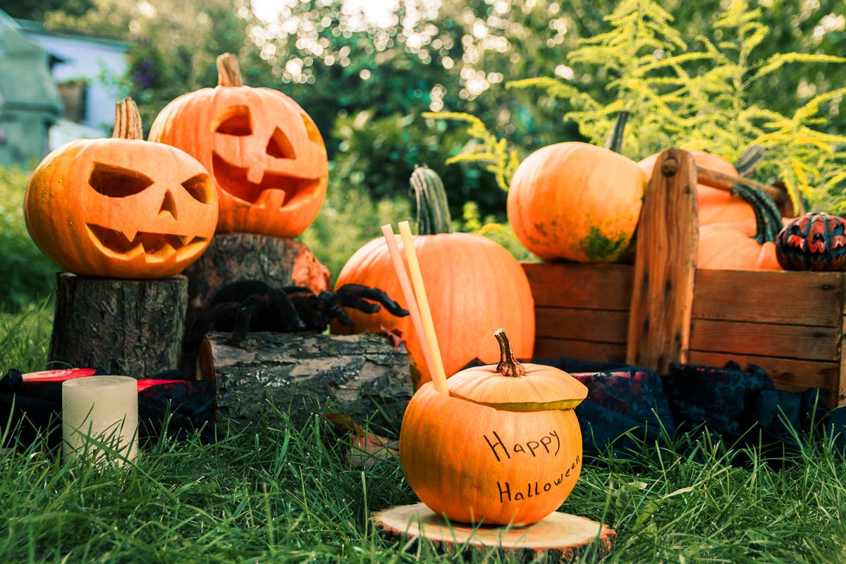 fimalaga's tweet photo. 👻¡Feliz viernes! ¡Feliz Puente de Todos los Santos! ¡Y feliz Halloween! 🎃
Esperamos que todos disfrutéis de la noche más escalofriante del año y que hagáis muchos tratos y pocos trucos💀 https://t.co/O1D4FClbYe
