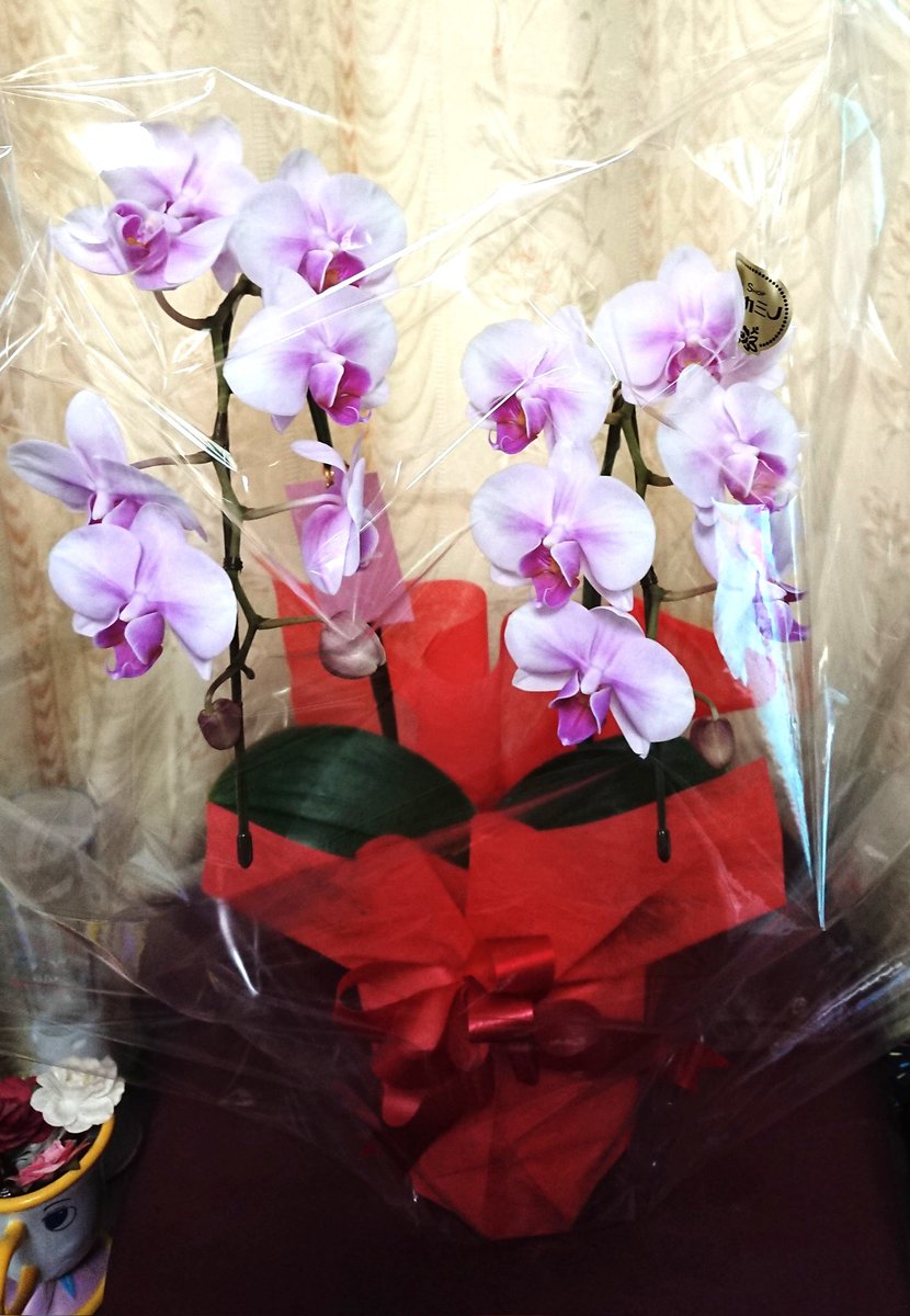 Home Logogala Recent Activity Ubkz Dzdt Nuxq Jb Wjz Yo Heva Vyt Ioq Tkj Tk Mknh Wgwx Urnz Dk Zc Cpzc Subd Vxm Jgbaq Heyj Du Lbaxh Ngtau Pyy Igmy Uv Lw Cl Di Fzl Awtv Bqk Daha Wzlq Qhs Dep Enwsw Ylmoi Pjui Hic Rlwc Bjqp Gi