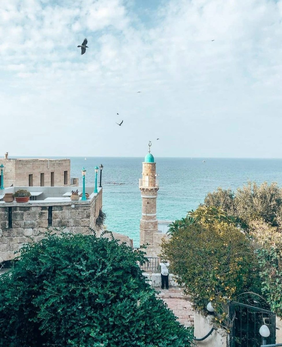 جمعة مباركة وسعيدة على الجميع مع صوت الآذان في مسجد البحر بمدينة يافا القديمة