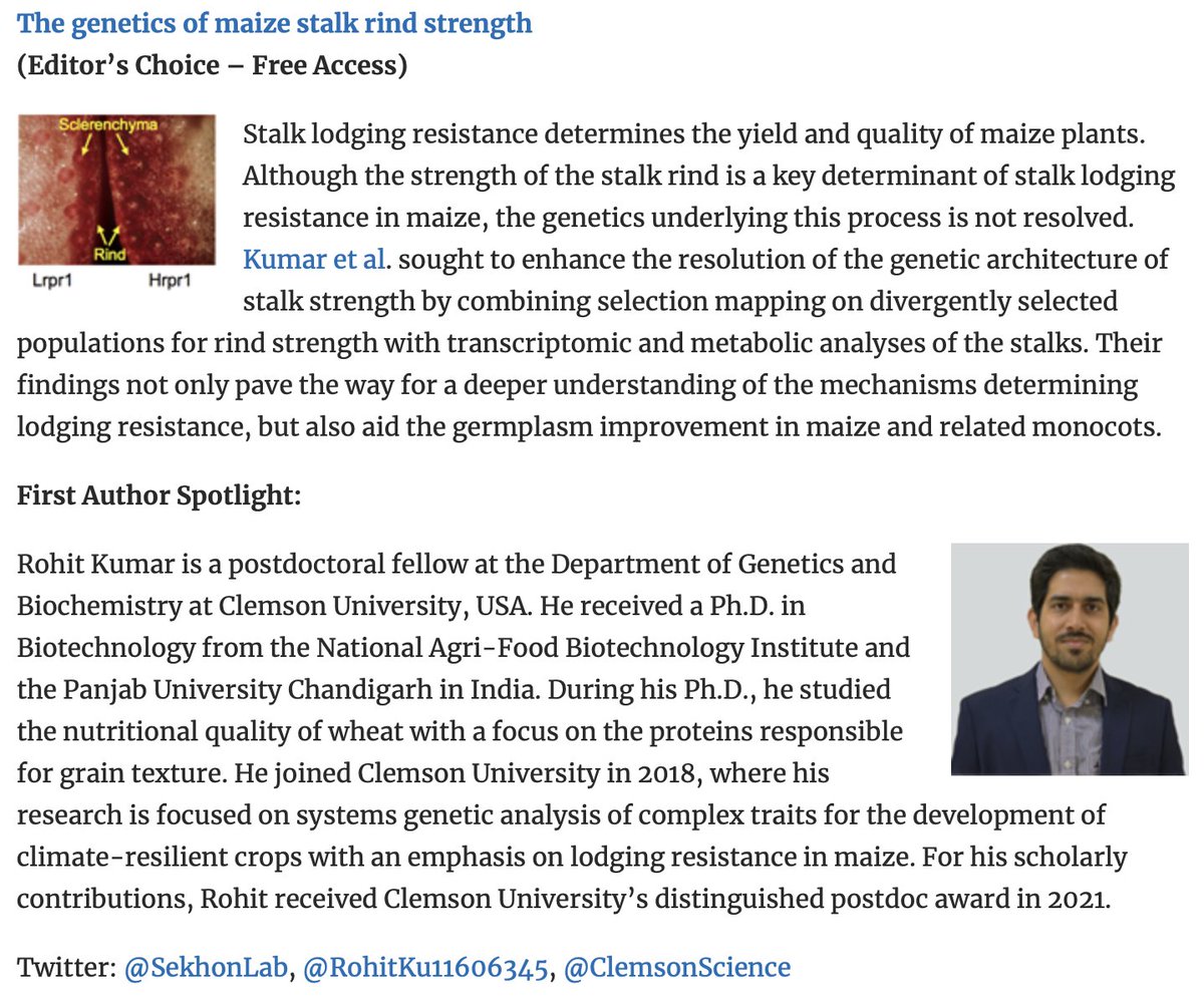 📔Research Highlight from Latest Issue (62-7):
🌽Genetic Architecture of Maize Rind Strength Revealed by the Analysis of Divergently Selected Populations📏📐🌏🖥️
doi.org/10.1093/pcp/pc…
Rohit Kumar et al.🎉🎊
<a href="/RohitKu11606345/">Rohit Kumar</a>