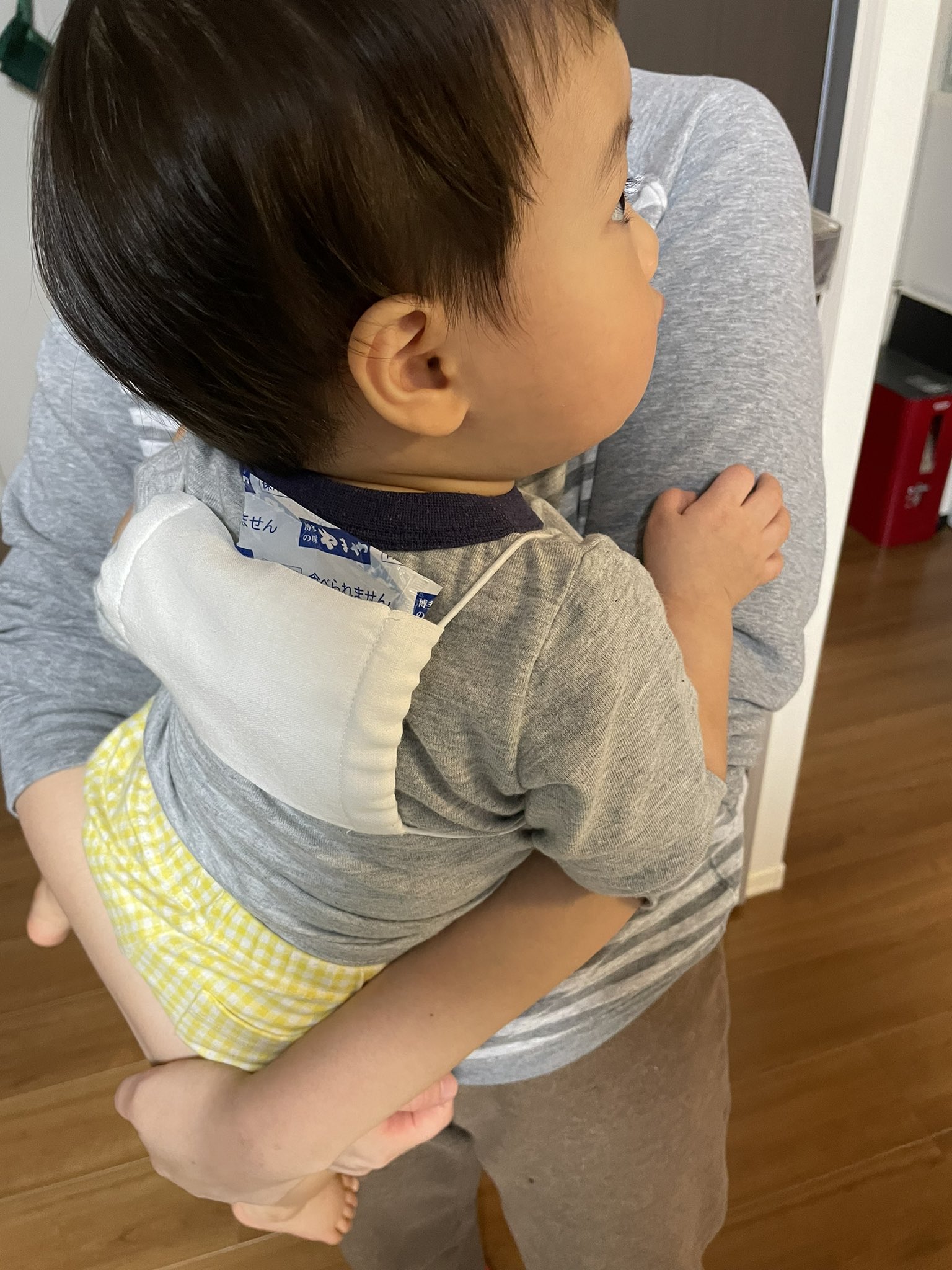 ねろo O 熱が出てきたjr アベノマスクがこんな所で役に立つとは 保冷剤 アベノマスク T Co Ydguia34m9 Twitter