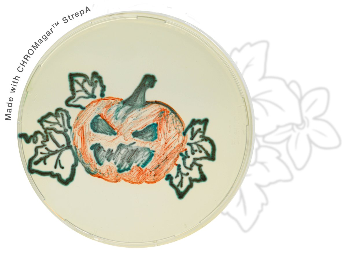 CHROMagar's tweet image. Happy Halloween 🎃
🎨 Agar art made with CHROMagar culture media 

#chromagar #chromogenictechnology #chromogenicmediapioneer #culturemedia #bacteria #microbiology #agarart #halloween #halloween2021 #lablife #laboratorylife